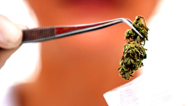 Close-up of Researcher Putting Dry Cannabis Bud in Plastic Bag 