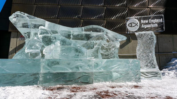 right whale ice sculptures 