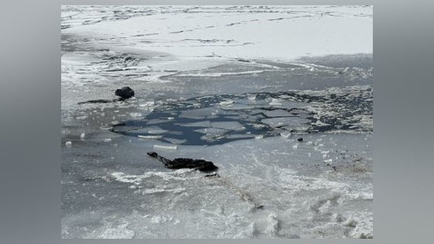 Kids fell into icy lake in McKinney 