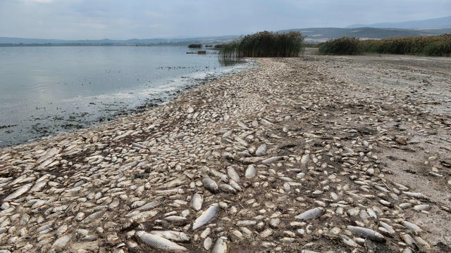 GREECE-ENVIRONMENT 