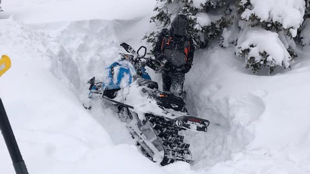 snowmobile-in-tree-well-1.jpg 
