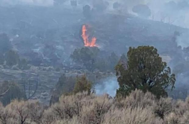 Mesa County brush fire 1 (Clifton Fire) 