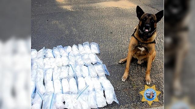 meth-bust-chp-modesto.jpg 