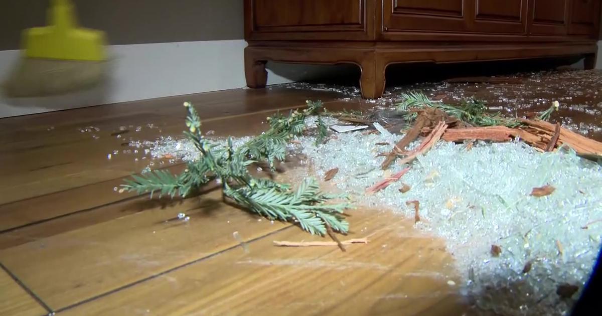 VIDEO: Lightning Strikes Redwood Tree Sending Shards Of Wood Into SJ Living  Room - CBS San Francisco