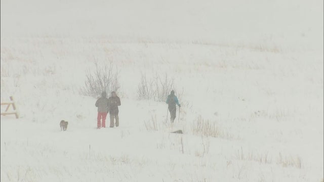 Chautauqua Park March Snow 2021 