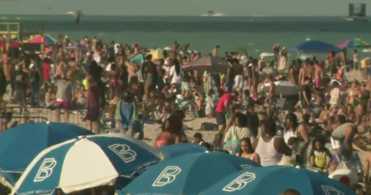 'Not Worth The Revenue': Miami Beach Dan Gelber Says Rowdy Spring ...