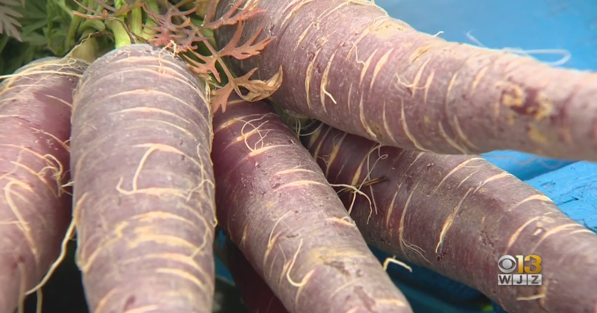 Real Food Farms Grows Produce For Families In Baltimore