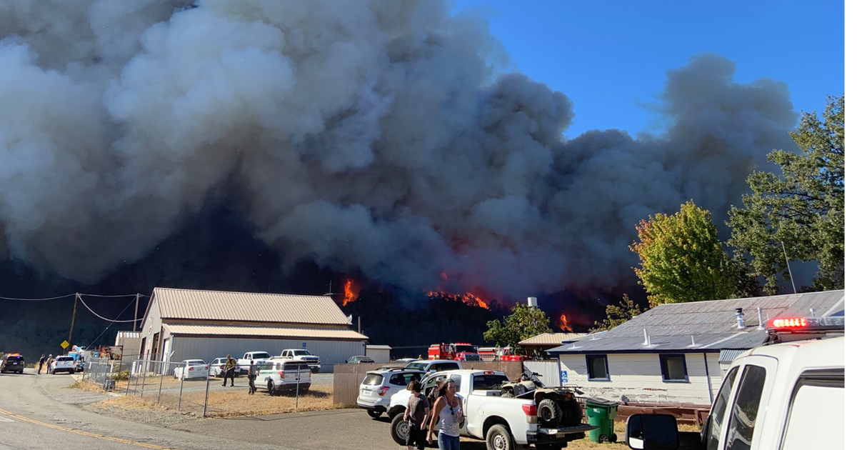 Cal Fire Says Zogg Fire Was Caused By Tree Hitting PG&E Electrical