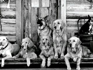 Bruce Weber, iconic photographer, focuses on Detroit pet project