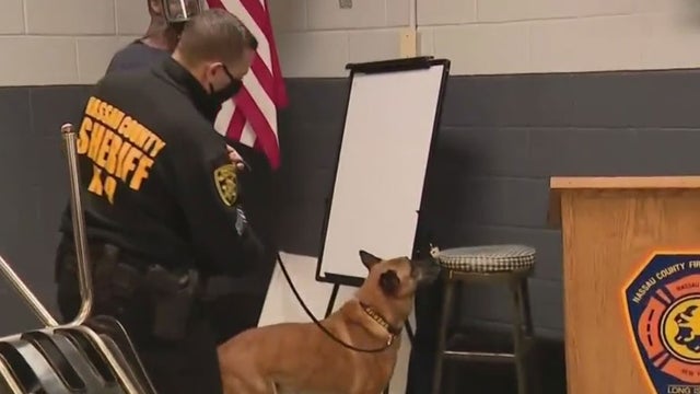 police-canine.jpg 