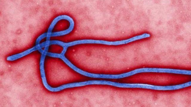 np-101714-ebola-297115-640x360.jpg 