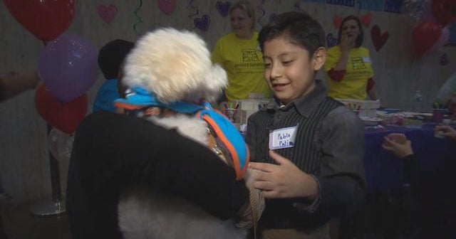 How Ralph the dog helped a heart transplant succeed - CBS News