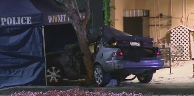Driver Killed After Car Slams Into Tree In Downey