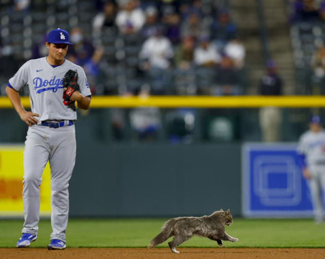 PHOTOS: Rockies host Dodgers at Coors Field on June 29, 2019 – The