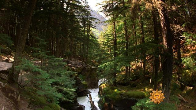 sunmo-0524-nature-396872-640x360.jpg 
