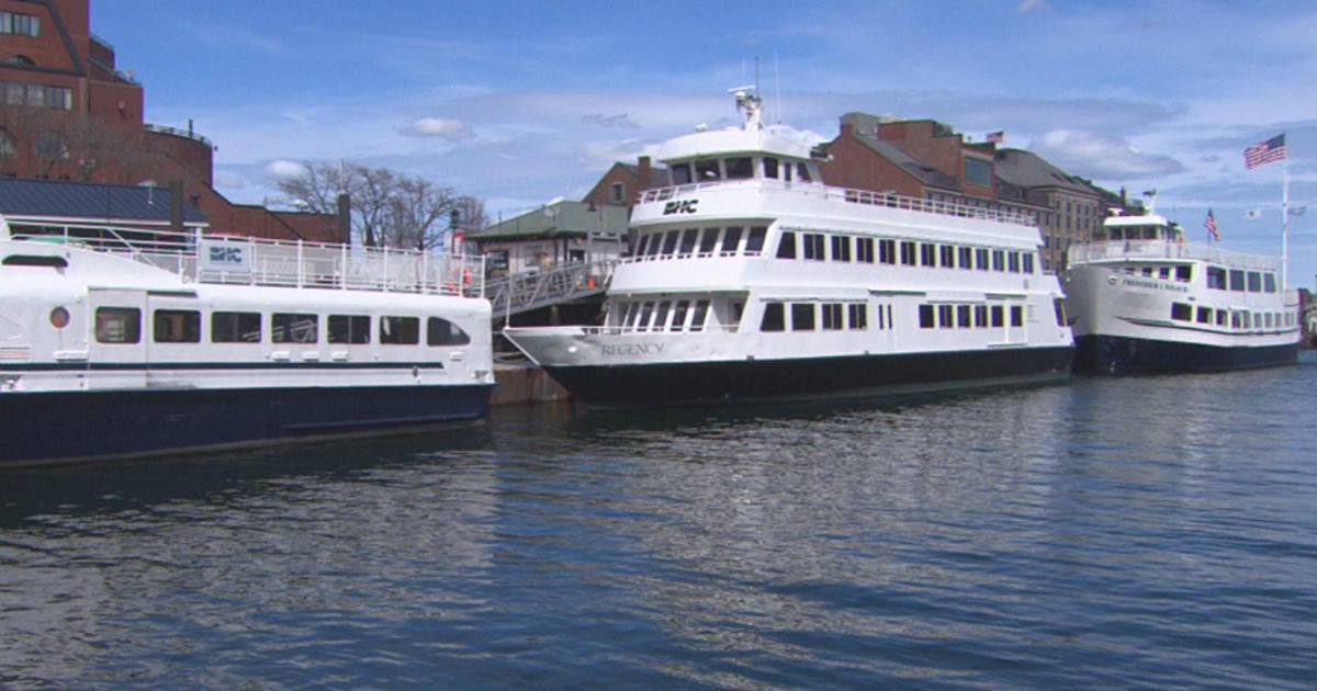 are dogs allowed on boston harbor cruises