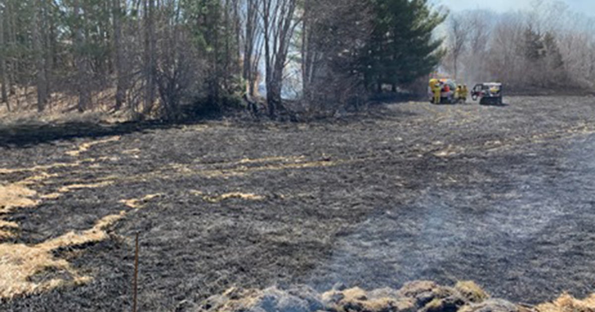 Sheriff: Central Minnesota Woman Caused Brush Fire After Cooking Maple ...