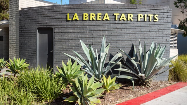 la-brea.jpg 
