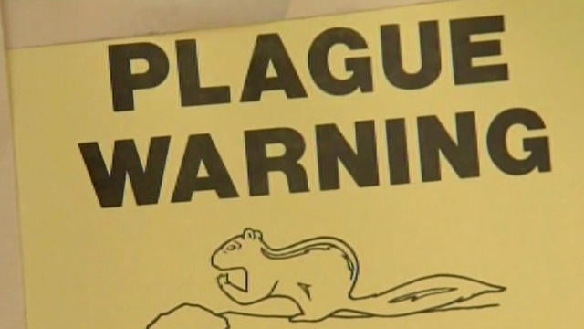 bubonic-plague-445367-640x360.jpg 