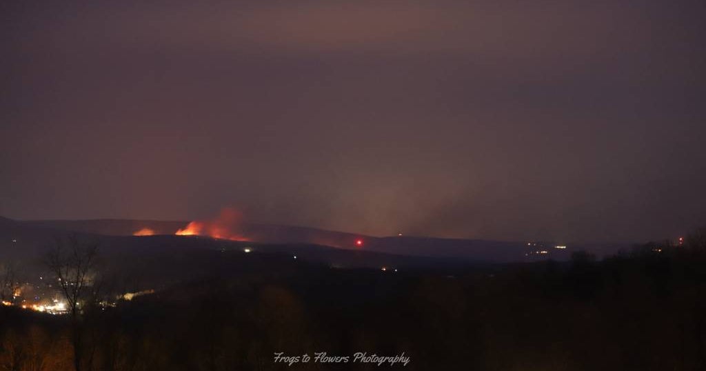 Dry Weather, Strong Winds Blamed For Fueling Forest Fires At Ohiopyle