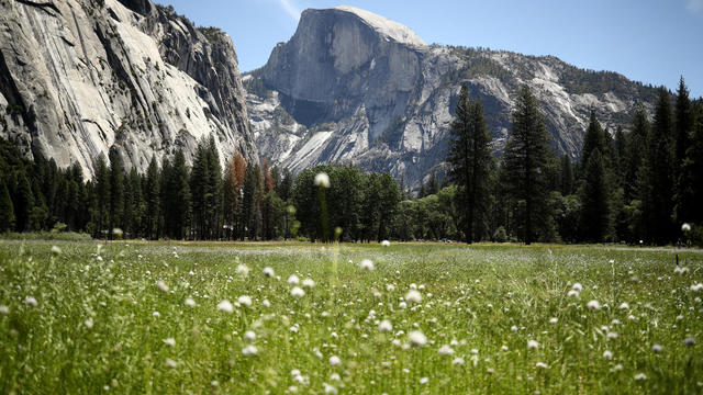 Yosemite National Park Reopens After Months Of Closure Due To Coronavirus Pandemic 