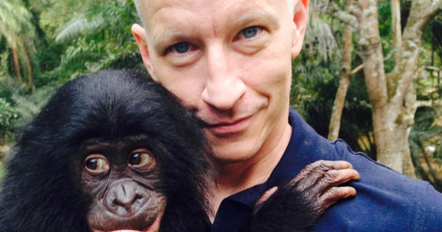 Bonobos - CBS News
