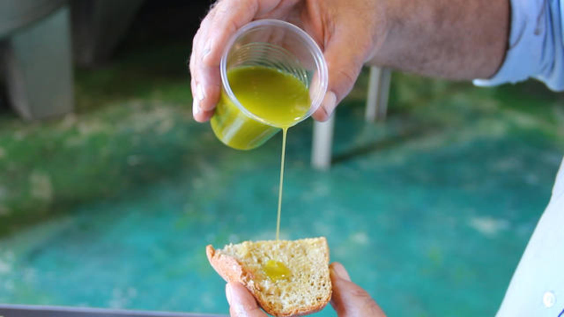 Don't fall victim to olive oil scam