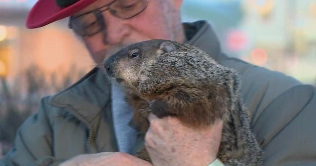 Runaway groundhog leaves Wis. town looking for replacement - CBS News