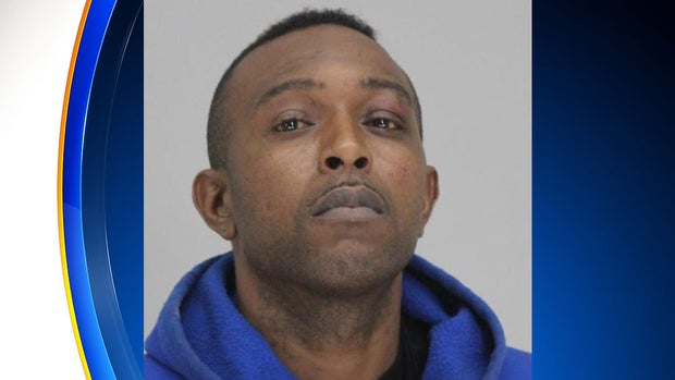 Tai Artis Brown Stein 