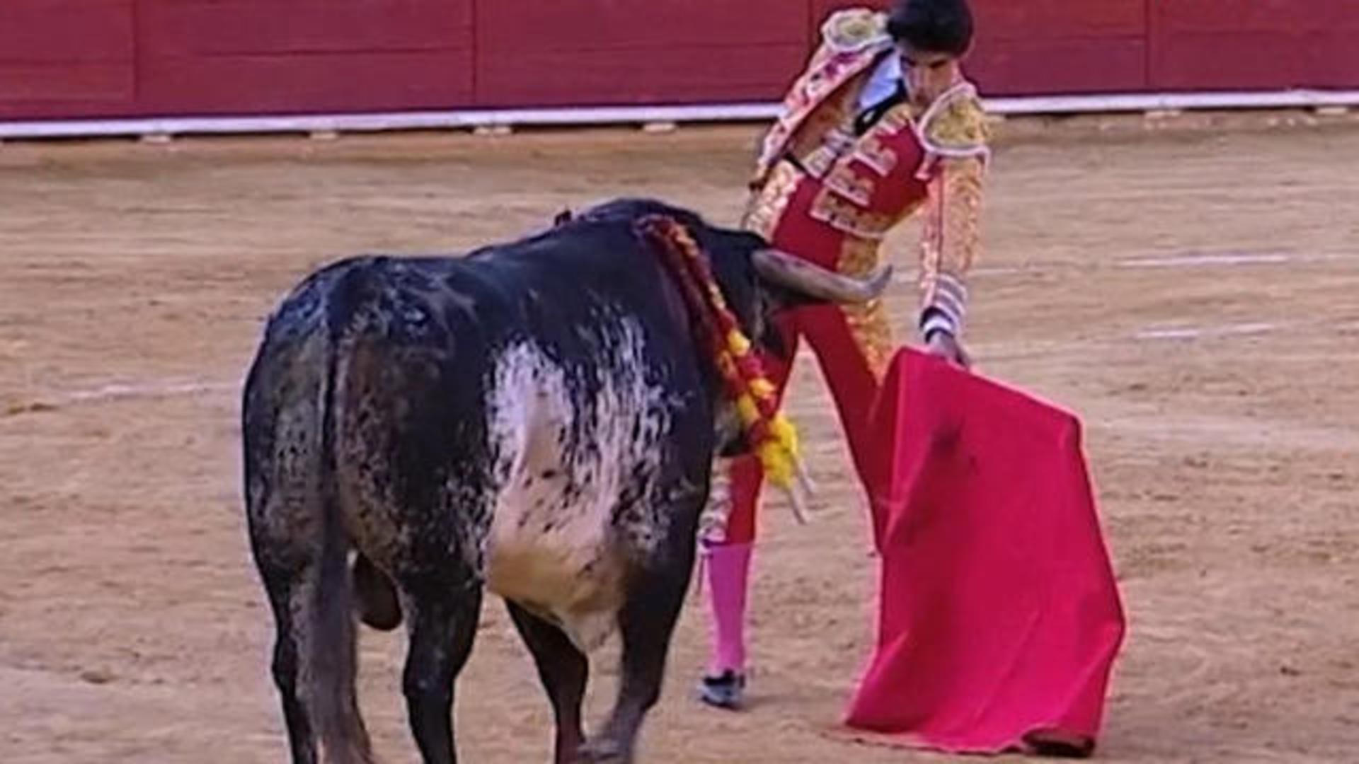 Ultimate Bull Fighting World Finals