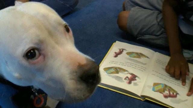 0711-cbsn-kzw-dogshelpkids-sponsored-1091285-640x360.jpg 