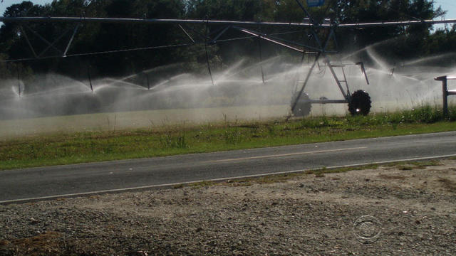 en-0704-strassmannhogfarms-1088540-640x360.jpg 