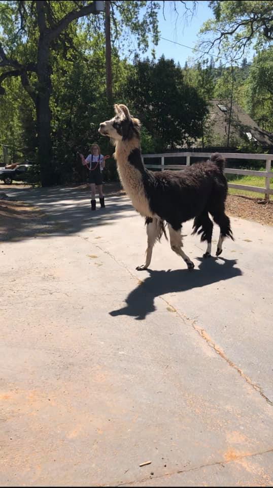 175149512_3862323307148373_1412577673417634388_n 