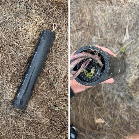 westminster pipe bomb (Bradburn Village FB Group)