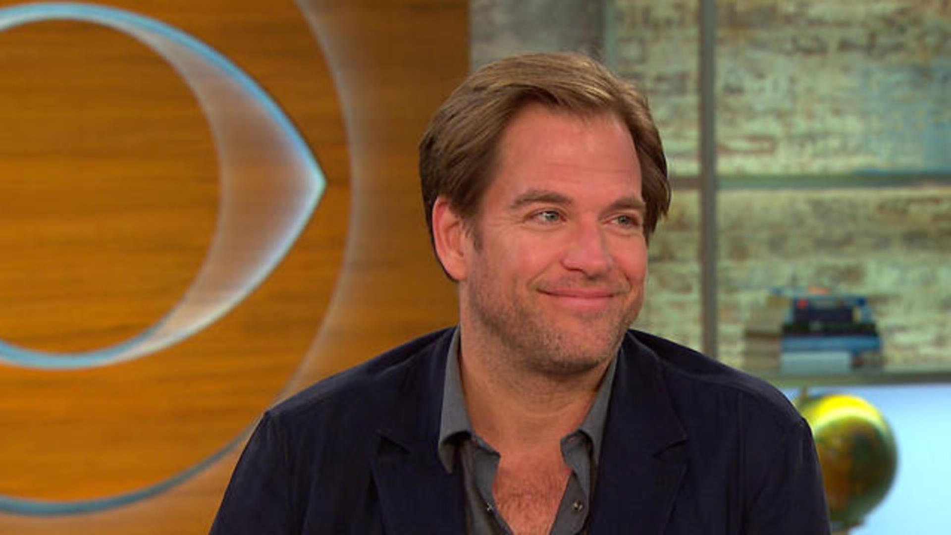 About  Michael Weatherly