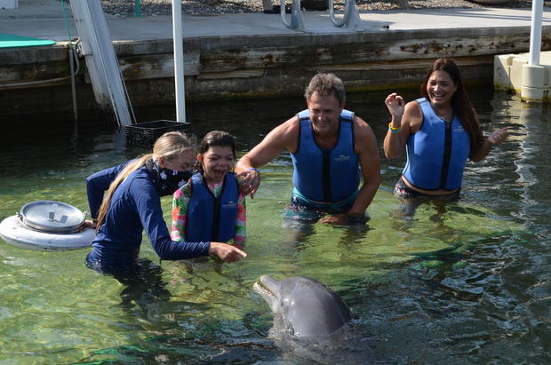 Dolphins Plus Make a wISH_1 