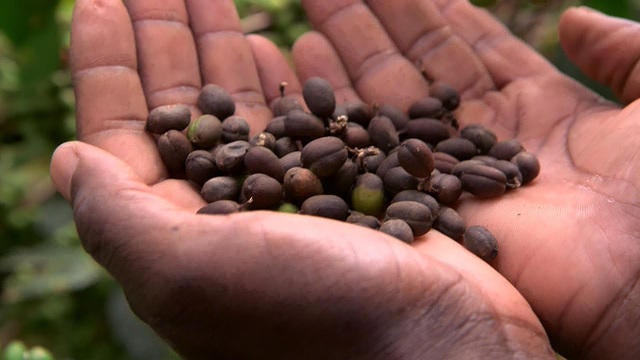 1208-ctm-climatecoffee-phillips-1195797-640x360.jpg 