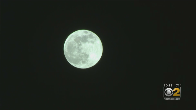 PinkMoon.png 