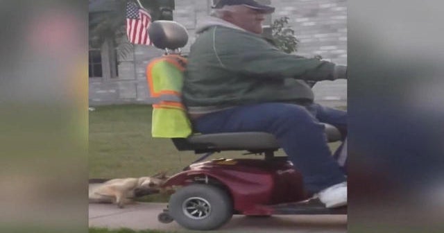 Man seen dragging dog behind motorized wheelchair in disturbing video ...