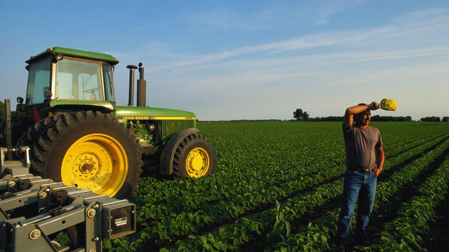 Soya bean farmer in field with tractor, wiping brow, Indiana, USA 