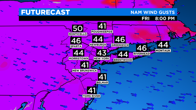 SkyCast FutureCast Wind Gusts NAM 