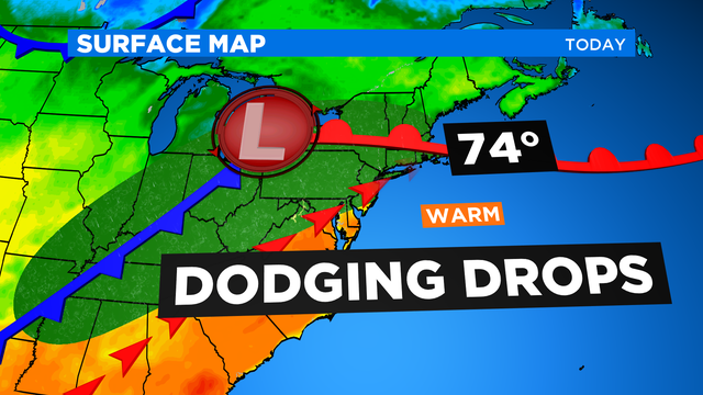 JL Surface Animation 1 