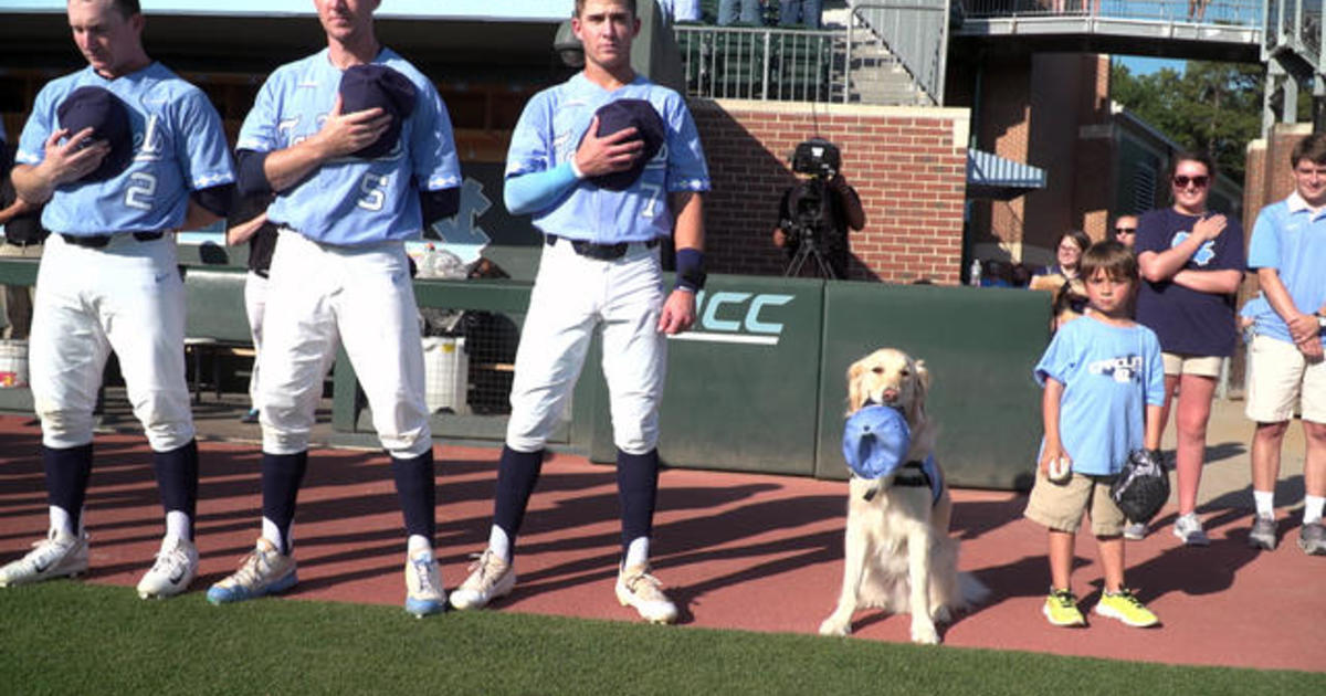 Service dog boosts North Carolina college baseball team