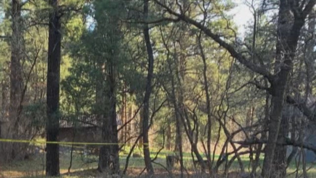 DEADLY BEAR ATTACK 5VO.transfer_frame_181