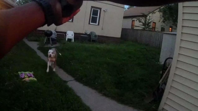 0720-newspath-dogshooting-1358865-640x360.jpg 