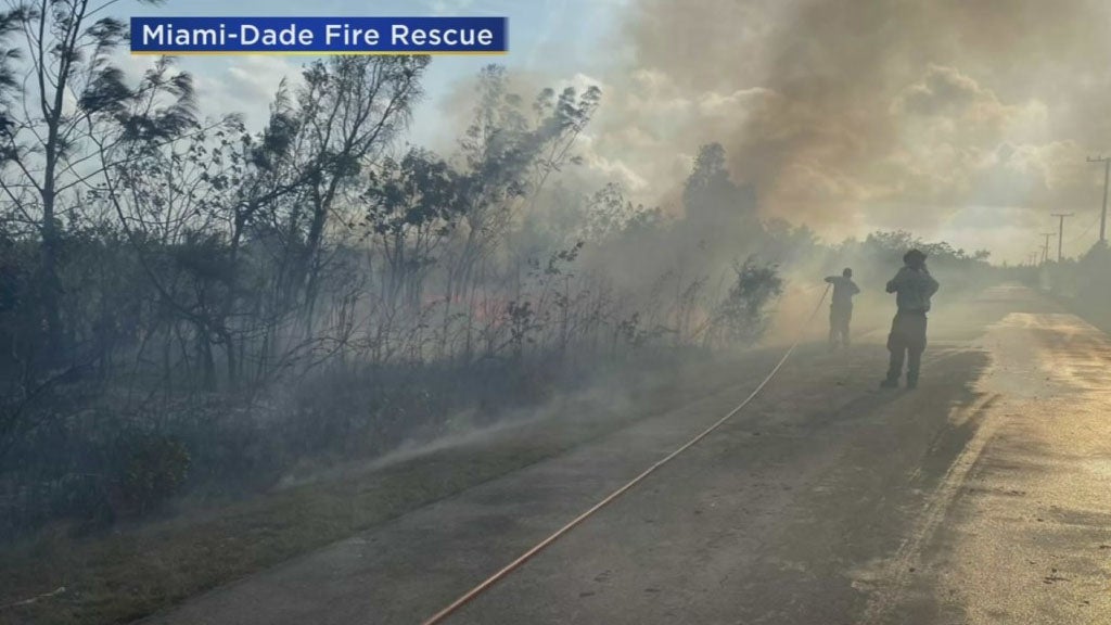 Stories About Brush Fire - CBS Miami
