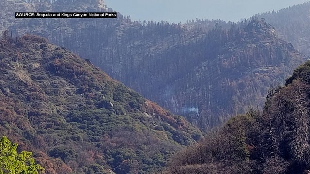 fire-still-smoldering-sequoia-nps.jpg 