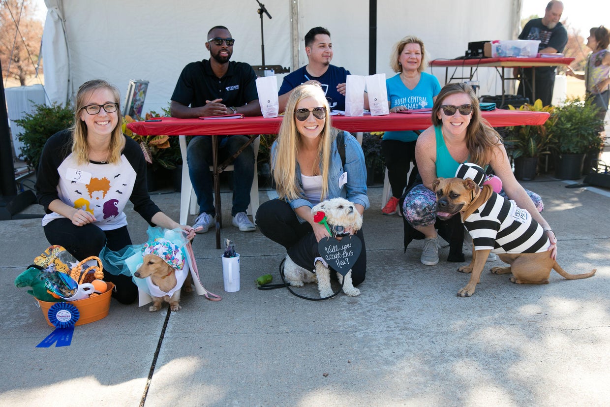 U.S.-DALLAS-DOG FESTIVAL 