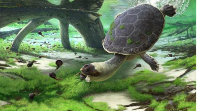 Prehistoric-Turtle-Render.jpg 