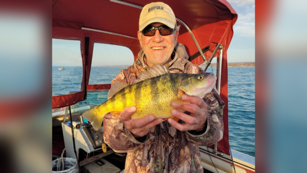 state record yellow perch 